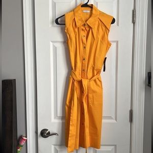 BRAND NEW WITH TAGS New York and Company Dress. Size XS, has pockets and a belt.